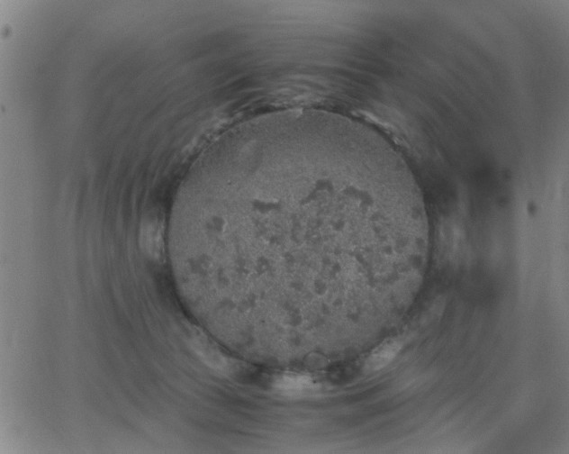 X0000062650177200512230905