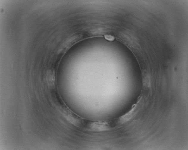 X0000062650179200512230905