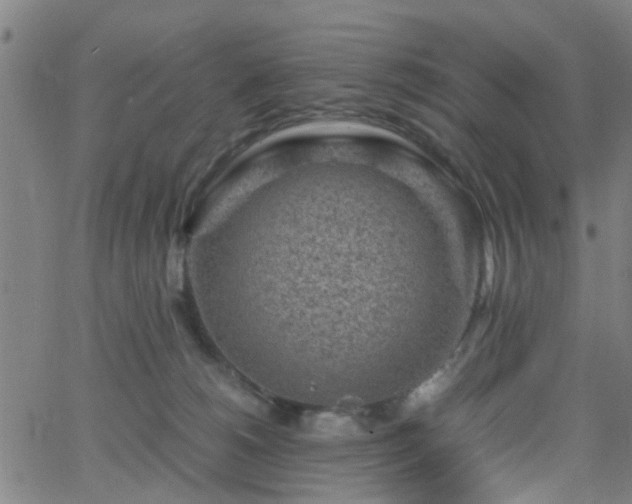 X0000062650180200512230905