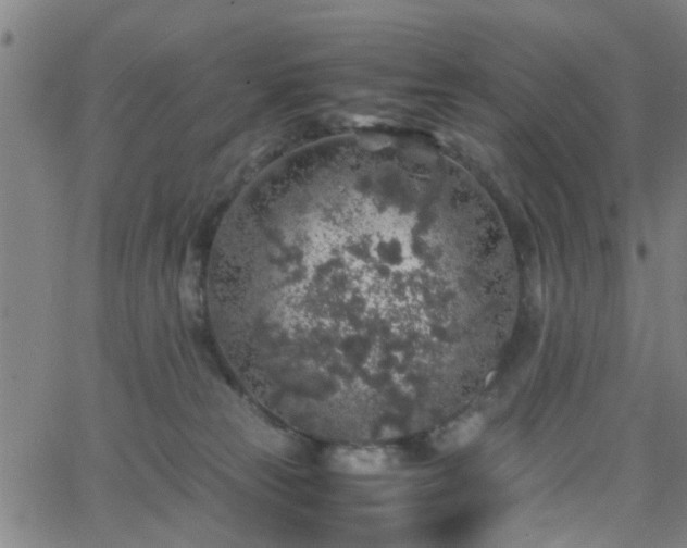 X0000062650181200512230905