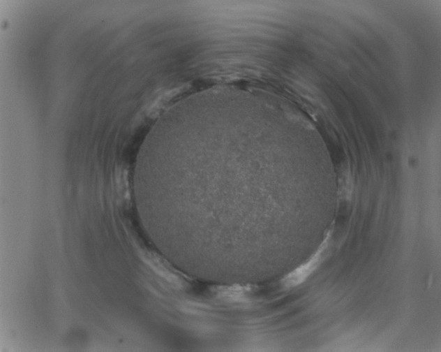 X0000062650182200512230905