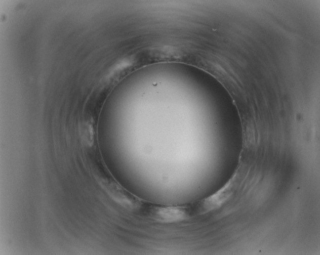 X0000062650183200512230905