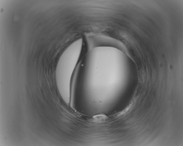 X0000062650184200512230905