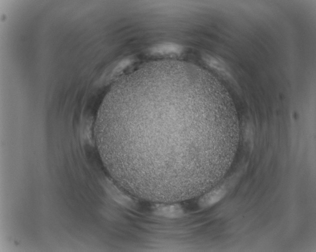 X0000062650185200512230905