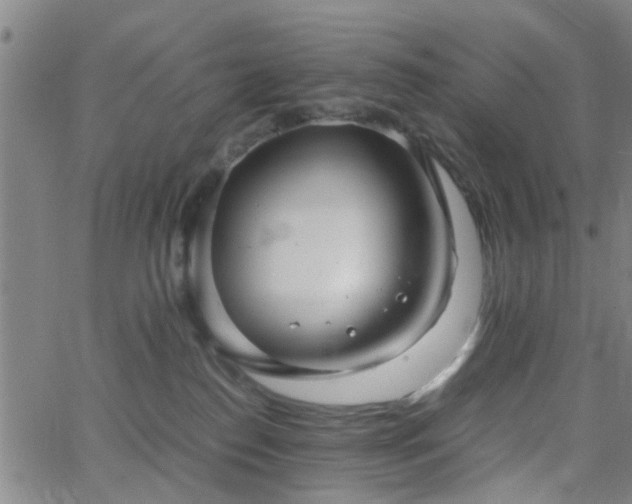 X0000062650186200512230905