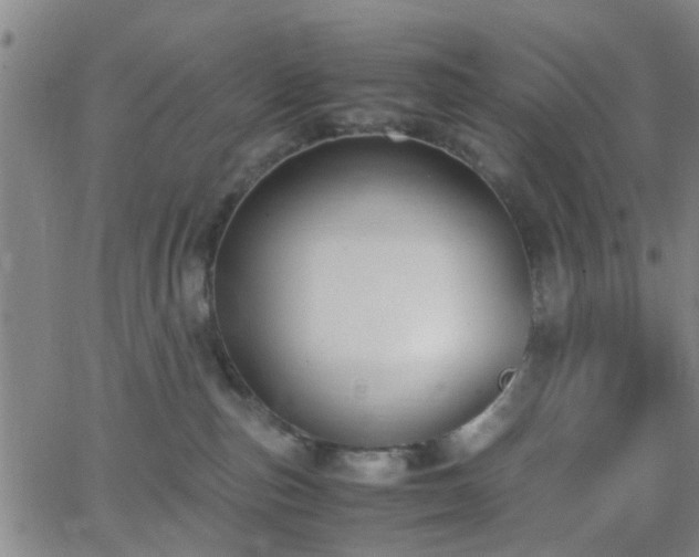 X0000062650187200512230905