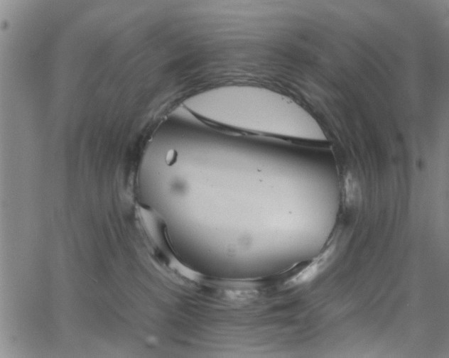 X0000062650188200512230905