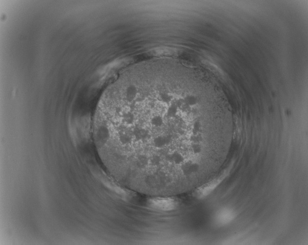 X0000062650189200512230905