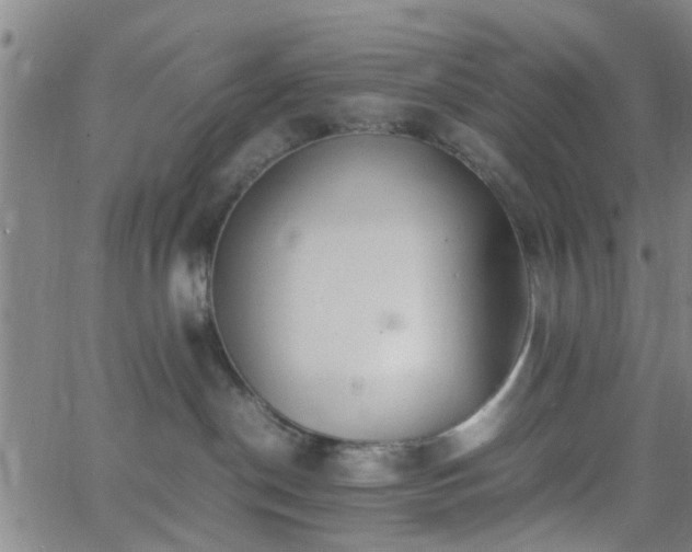 X0000062650190200512230905