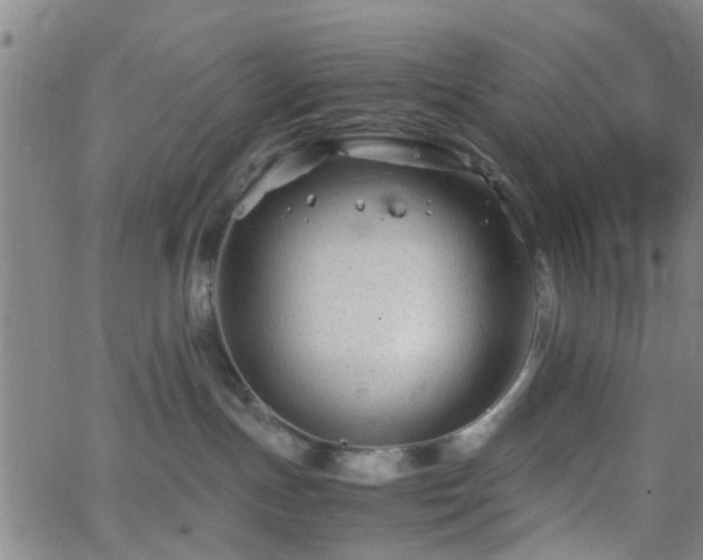 X0000062650191200512230905