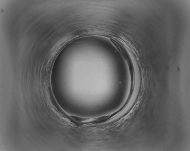 X0000062650193200512230904