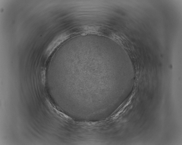 X0000062650194200512230904