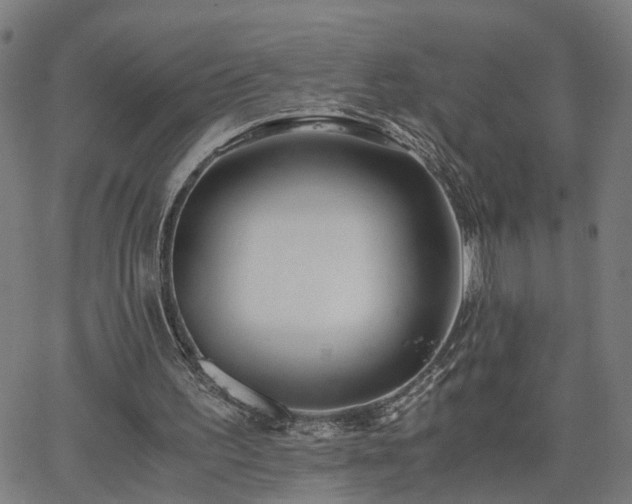 X0000062650195200512230904