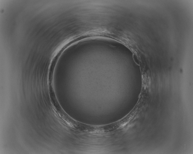 X0000062650196200512230904