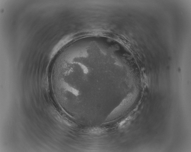 X0000062650198200512230904