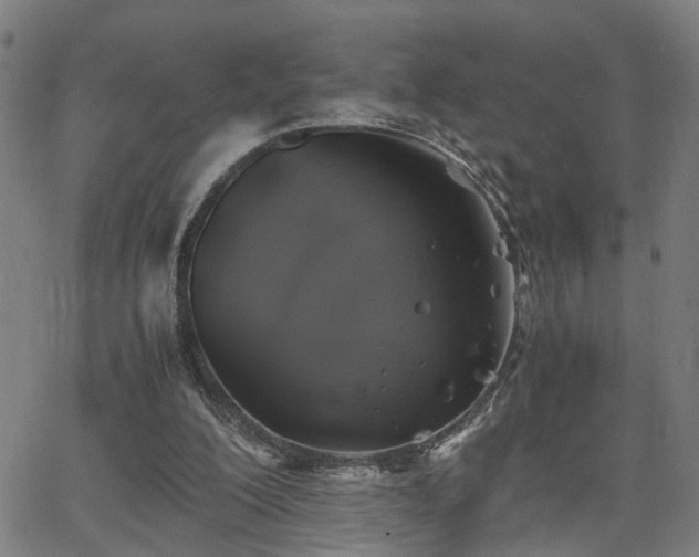 X0000062650200200512230904