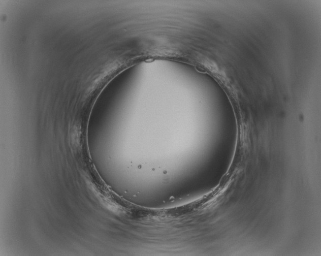 X0000062650201200512230904