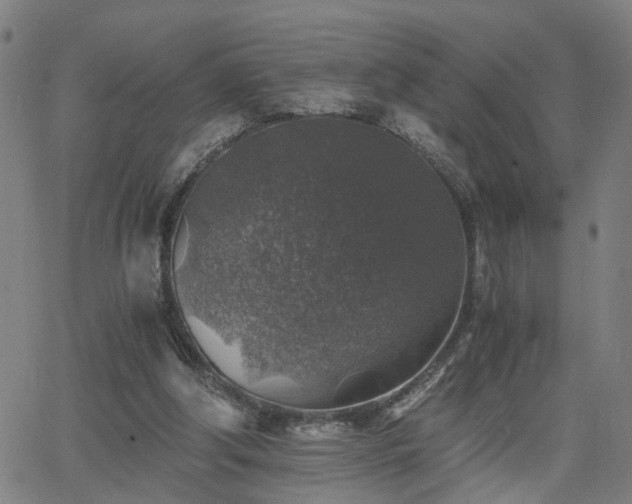 X0000062650202200512230904