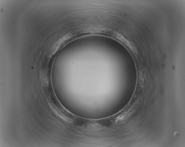 X0000062650203200512230904