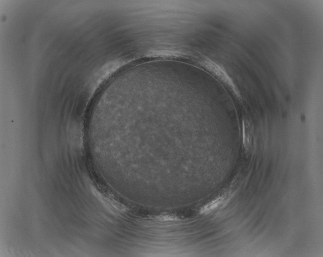 X0000062650204200512230904