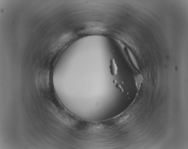 X0000062650206200512230904