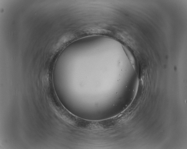 X0000062650207200512230904