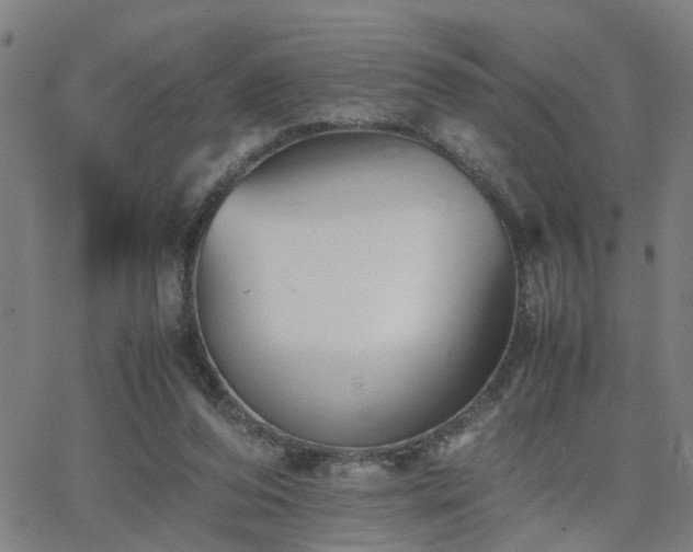 X0000062650208200512230904