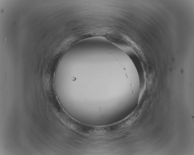 X0000062650209200512230904