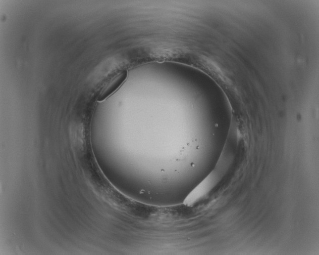 X0000062650211200512230904