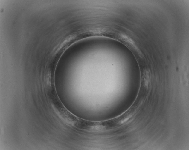 X0000062650212200512230904