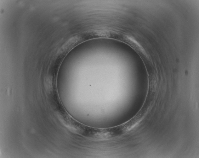 X0000062650213200512230904