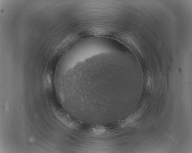 X0000062650214200512230904