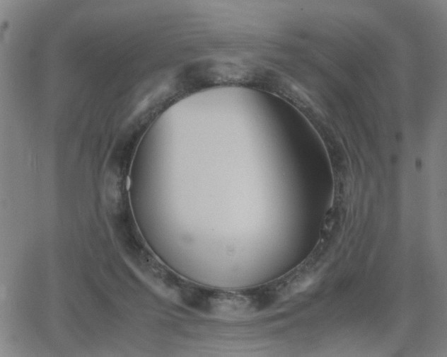 X0000062650215200512230904