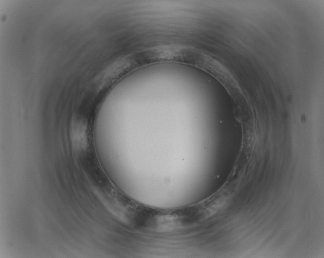 X0000062650216200512230904