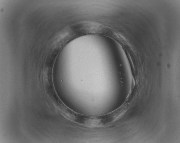 X0000062650217200512230904