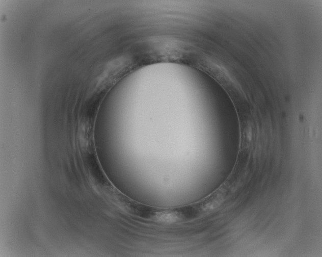 X0000062650218200512230904