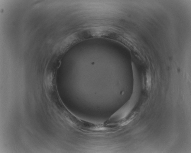 X0000062650219200512230904