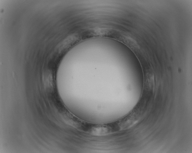 X0000062650220200512230904