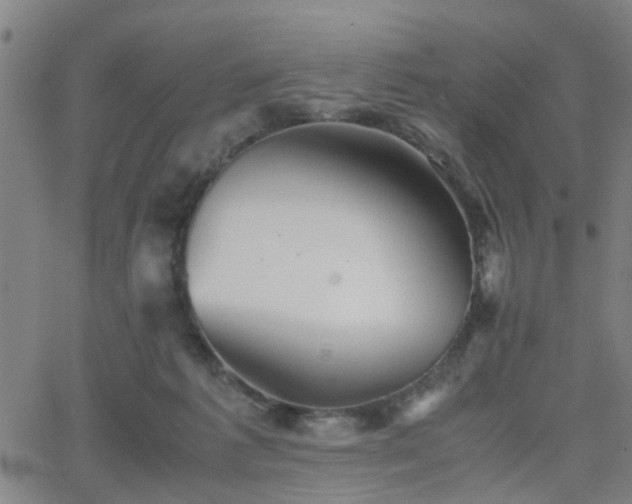 X0000062650221200512230904