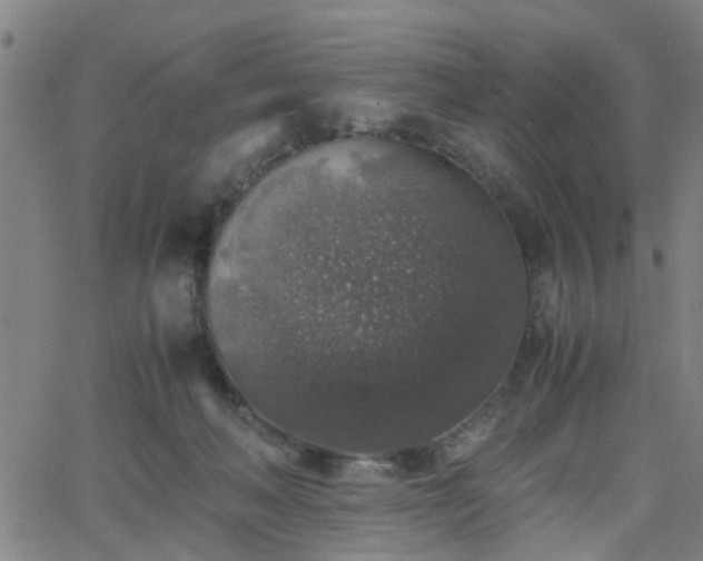 X0000062650222200512230904