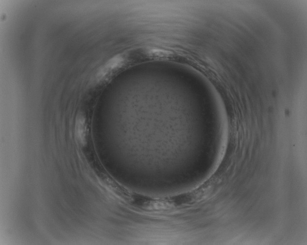 X0000062650223200512230904