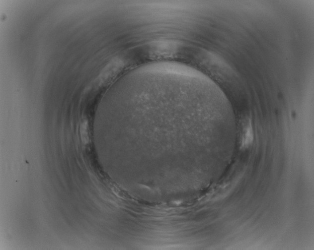 X0000062650224200512230904