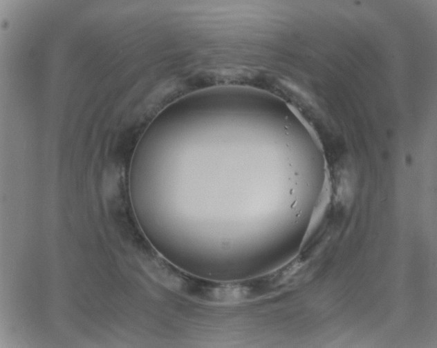 X0000062650225200512230904