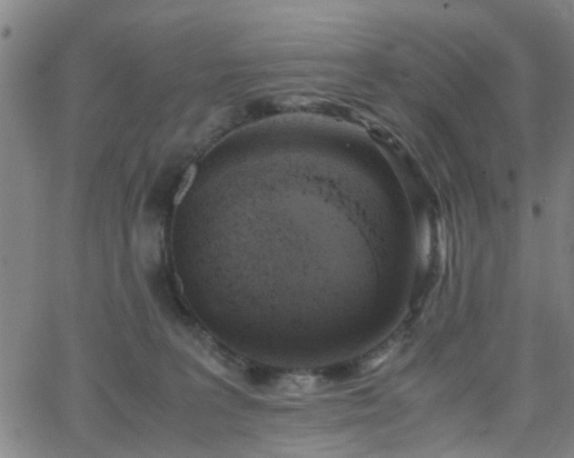 X0000062650227200512230904