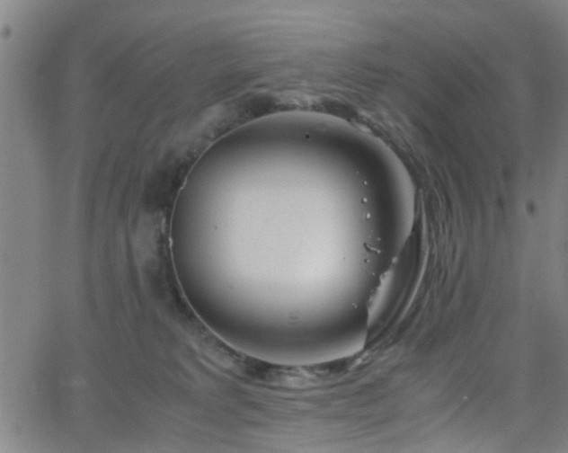 X0000062650229200512230904