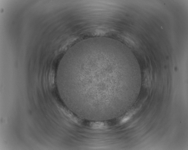 X0000062650230200512230904