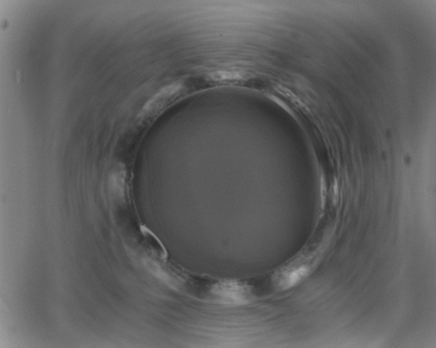 X0000062650231200512230904