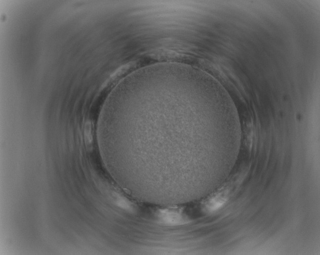 X0000062650232200512230904