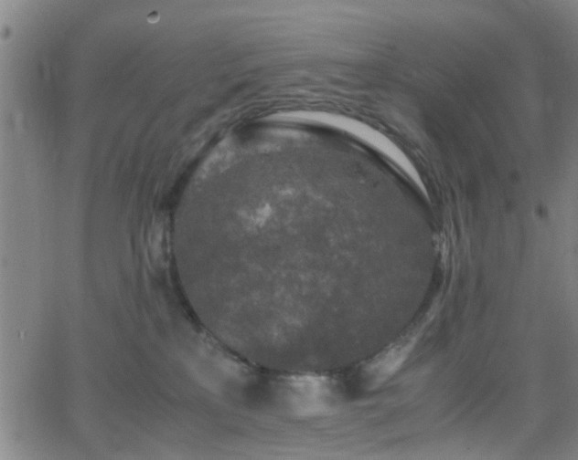 X0000062650233200512230904