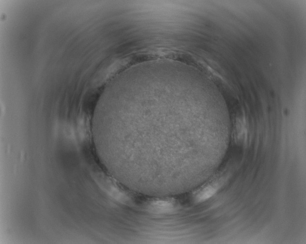 X0000062650236200512230904